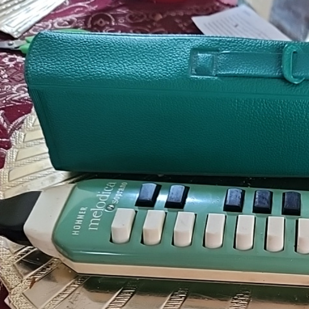Melodica in Teal